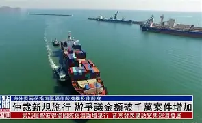 DWG引发争议！，蒂姆官方宣布锐不可当新规赛场气氛高涨的简单介绍